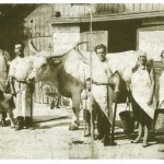 Mesarstvo Franc Cotman v Trzinu, fotografija, fotograf neznan, okoli 1935, črno-bela, objavljena v knjigi Staneta Stražarja, Mengeš in Trzin skozi čas, 1993